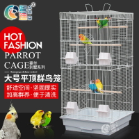 生產供應 便攜式寵物籠 寵物展示籠 鳥籠 鐵絲鳥籠 鸚鵡籠(1035)