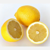 Bibit tanaman Jeruk LEMON CALIFORNIA Sudah Berbuah Berbunga Live
