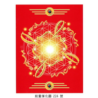 正版Bryan De Flores能量催化圖A224號- 生命之花~過去現在未來的資料庫(生命之花/阿凱西記錄)