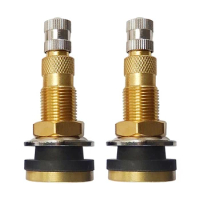 2pcs Tire Valve Stem Golden 5.3cmx2.25cm TR618A Tractor Tubeless Tire Valve Stem For 5/8inch 16mm Rim Hole Bicycle Accessories