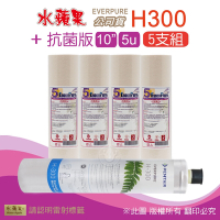 【水蘋果】Everpure H300 公司貨濾心+抗菌版10英吋5微米PP濾心(5支組)