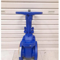 Gate Valve Cast Iron 3\ Inch DN 80 PN 16 Rising Stem"