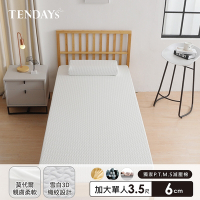 【TENDAYS】舒眠柔睡紓壓床墊3.5尺加大單人(6cm厚 記憶棉層+高Q彈纖維層)-買床送枕