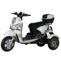New Style Tricycles 1000W 3 Wheel Electric Motorcycle Electric Scooter For Adultscustom