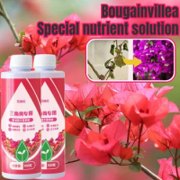 Bougainvillea Nutrient Solution To Prevent Yellow Leaves and Bloom in All Seasons, Special Fertilizer for Bougainvillea 300ml