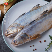 【大成食品】午仔魚蝴蝶切(150-200g/包)多規格