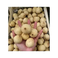 Buah Duku Bogor - 1Kg Fresh