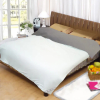 【KYOTO BEDDING 京都皇寢】MIT台灣製造 遠紅外線銀離子抗菌四季被 發熱棉被可水洗冬被(標準雙人180x210cm)