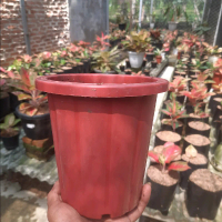 packingan lakban(Paket 110 k)