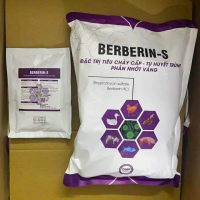 BERBERIN ĐẶC TRỊ ĐƯỜNG RUỘT