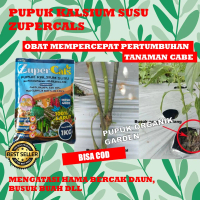 ZuperCals Pupuk perangsang buah cabe,Pupuk pelabat buah cabe,Pupuk penyubur buah cabe,Pupuk cabe