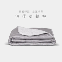 【寶麒麗泰】涼伴凍絲被 - 雙人被 ｜6x7尺(涼被 / 四季被 / 水洗被)