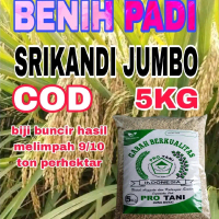 5KG BENIH PADI SRIKANDI JUMBO LABEL PUTIH ORIGINAL