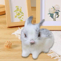 Miniature Realistic Furry Rabbit Mini Realistic Plush Rabbit for Kids Collectible Gift Christmas Cake Topper Party Favor