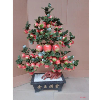 Jade bonsai ornaments 68 apple tree living room decoration Home Furnishing jewelry ornaments handicraft