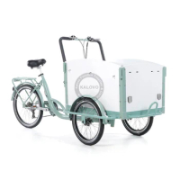 3 Wheel Electric Cargo Bike With Front Box Dutch Bike Electric Bakfiets 36V 250W CE Certificated
