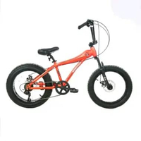 Sepeda LowRider Wimcycle 20 inch Fatbike 4.0