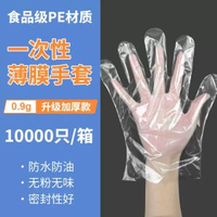 內地直送 - 一次性PE塑膠手套食品級透明小龍蝦餐飲加厚手套整件商用