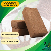 Gm4u compressed block brick coco peat size: 20cm x 10cm x 5cm lumps weight: 600g ± compressed cocope