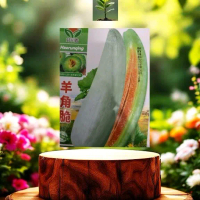 benih biji buah melon croissant / melon tanduk domba panjang +-70 butir