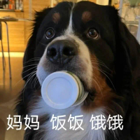 Smartphone iPhone Putih 256g Perangkat Digital - Led