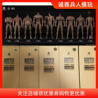 {保固一年 可打統編}正版現貨WorldBox 1/6男兵人肌肉素體集合 AT011 AT020 AT012 027