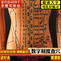 {臺灣公司貨 可打統編}政河中醫針灸穴位人體模型十二經絡圖銅人體穴位模型人全身小皮人