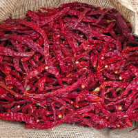 Cabe Keriting Kering Karungan - Bahan Masakan Segar dan Berkualitas Chili Cabai Spices Pedas