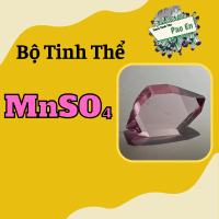 [Mã MnSO4] Combo nguyên liệu sinh thành tinh thể màu hồng