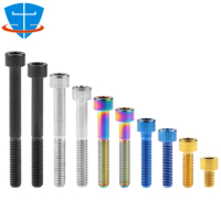 5 Pieces GR5 Titanium Alloy Ti Bolt M3 M4 M5 M6 M8 Allen Hexagon Socket Cheese Cylindrical Head Screw for Bicycle Headset Brake