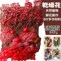 【A-ONE】永生花 紅豆相思 不凋滿天星 永生花材 乾燥花情人節 畢業花束 花禮乾燥花 捧花拍照 C05