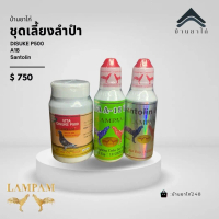 อาหารนกไก่ ชุดเลี้ยง p500+A18+ santolin
