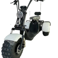 Cool design 1500w/2000w beach car scooter fat tire 3 wheel electric tricycle citycoco