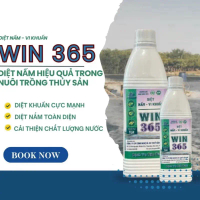 WIN 365 – Diệt nấm, vi khuẩn hiệu quả trong nuôi trồng thủy sản,chai 1lit visinh