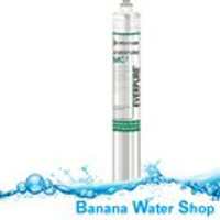 『Banana Water Shop免運費、贈餘氯測試液』美國EVERPURE MC2/MC濾心(美國原裝進口)