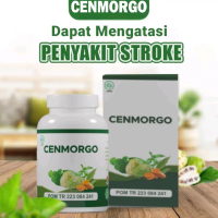 Cenmorgo PT Zada Syfa Nusantara Dewasa