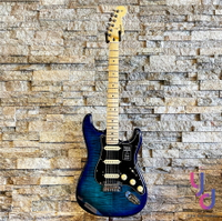 【絕美限量版】分期免運 贈琴袋 Fender Player Strat Plus Top 墨廠 電吉他 單單雙 藍色虎紋