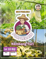 Bibit Premium Kembang Turi | Biji Benih Kembang Turi | Bunga Turi
