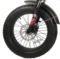 Fat Tire Folding Electric Bike/folding Bike 9 Speed Mini Folding Bike shock Absorbing Bicycle