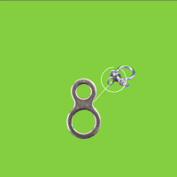 Ring 8 Stainless Rantai ke Ring Omega Burung Macaw Kakatua African Grey