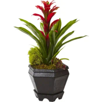 Artificial Decorative Plant Free Shipping Flowers Home Decoration Red Plastic Bromeliad in Black Hexagon Planter Plants Festive