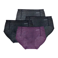 【Wildland 荒野】女銀纖維抗菌除臭無痕三角褲-S-2L-W1699(女性/銀纖維抗菌/雙向彈性/無痕貼縫設計)