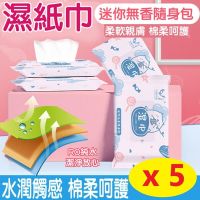 【5入】純水 濕紙巾 低敏不刺激濕紙巾 隨身包 ( 10抽/包 )