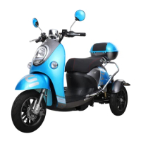 New Design Factory Price 500W Senior 3 Wheel Electric Scooter Mobility Electric Tricycles For Elderly