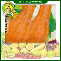 Benih Buah Buahan Semangka Strawberi Melon Labu Benih Bibit Murah Berkualitas Labu Panjang