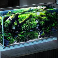 Side Filter Super White Full Set Medium and Large Living Room Home Shoe Cabinet Screen Ecological Aquarium