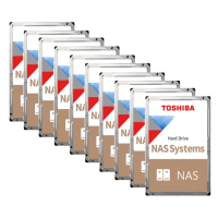 【TOSHIBA 東芝】(10入組) N300系列 10TB 3.5吋 7200轉 256MB NAS 內接硬碟(HDWG11AAZSTA)