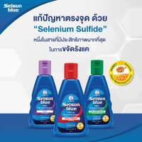 [เซตคู่สุดคุ้ม] Selsun Blue 2in1 Pro Anti-Dandruff Shampoo 120ml เซลซั่นบลู แชมพูขจัดรังแค สูตรผสมคร