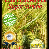 BENIH PADI CIHERANG SUPER JUMBO REPACK KEMASAN 1KG