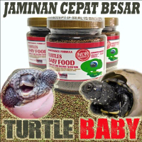 Makanan pakan anak bayi kura kura res brazil ast cst baby turtle food